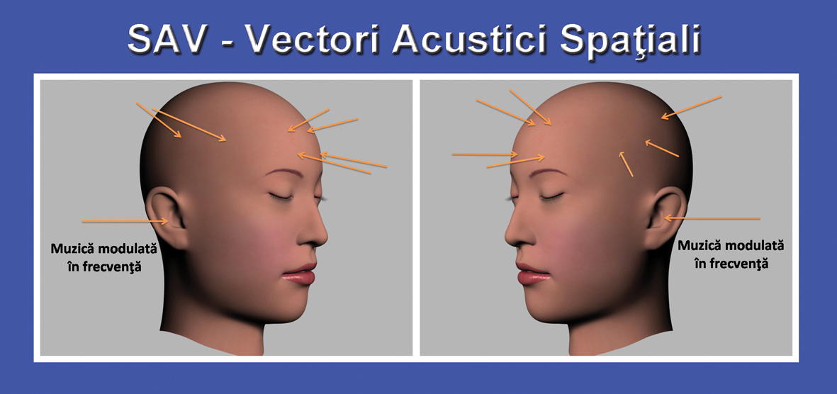 Tehnologia SAV de la Perfect Mind Tehnologia SAV de la Perfect Mind