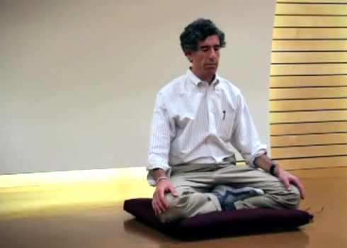 Richard Davidson meditatnd Richard Davidson meditatnd